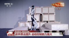 过去一年 人形机器人掌握了哪些炫酷技能